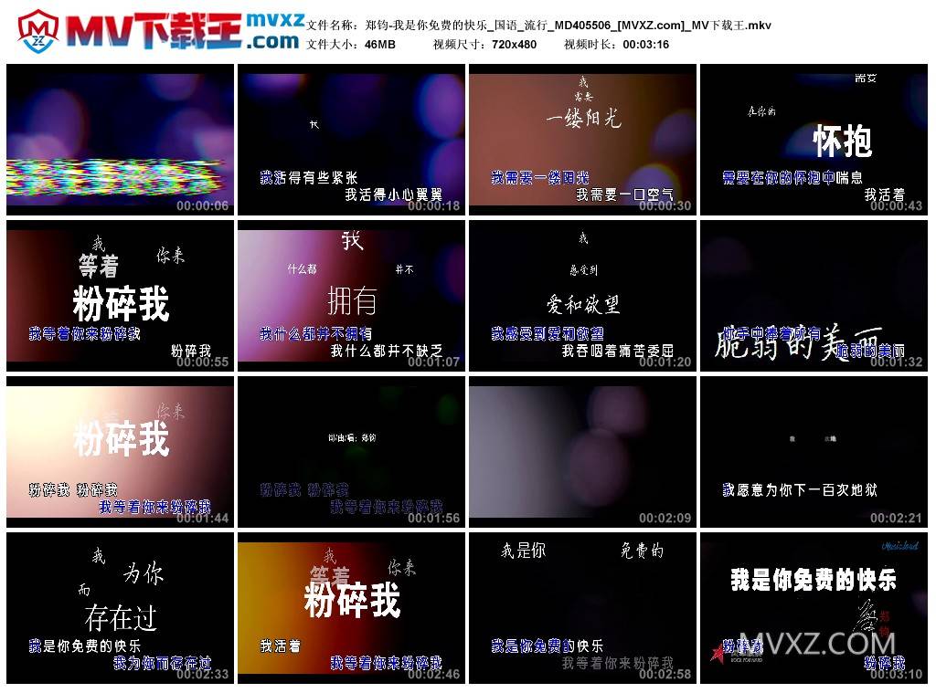 郑钧-我是你免费的快乐_国语_流行_MD405506